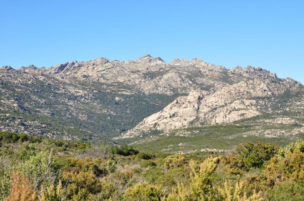Willa Sardegna Vicino Ad Olbia "La Casa Nel Vicolo" Berchidda Zewnętrze zdjęcie