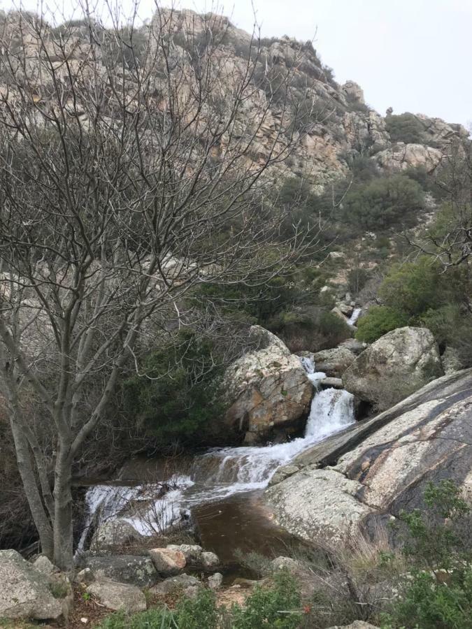 Willa Sardegna Vicino Ad Olbia "La Casa Nel Vicolo" Berchidda Zewnętrze zdjęcie