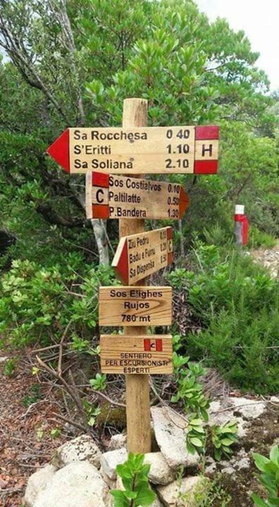 Willa Sardegna Vicino Ad Olbia "La Casa Nel Vicolo" Berchidda Zewnętrze zdjęcie